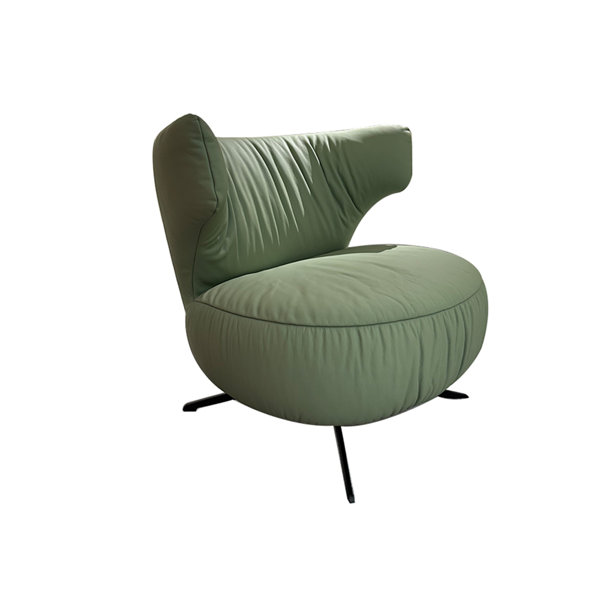 Huanxin Lighting Dermis Simplicity Leisure Chair Wayfair